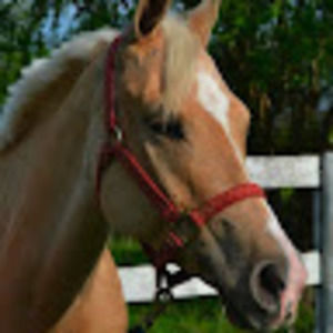 Meet your Posher, Sheila